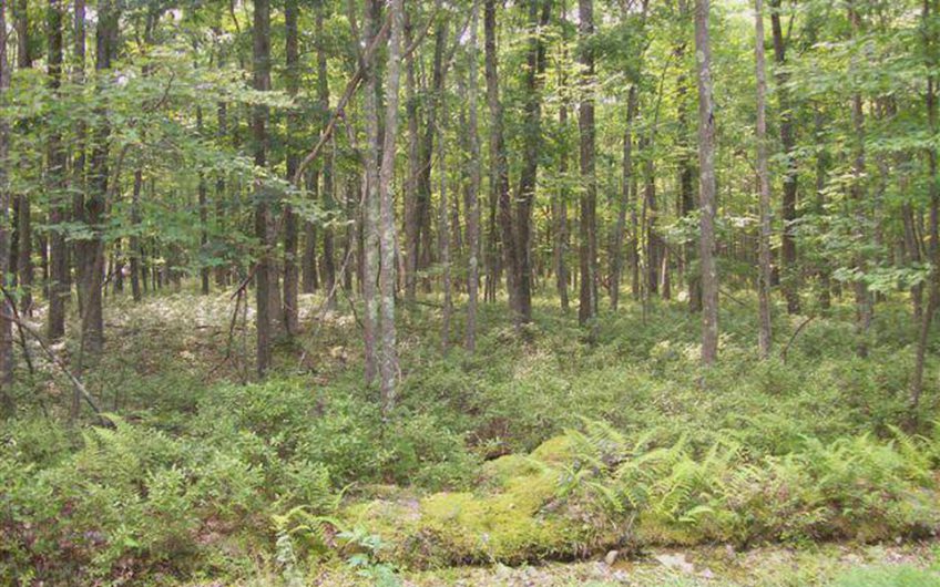 0.54 Acres in Hawley, Pike County Pennsylvania