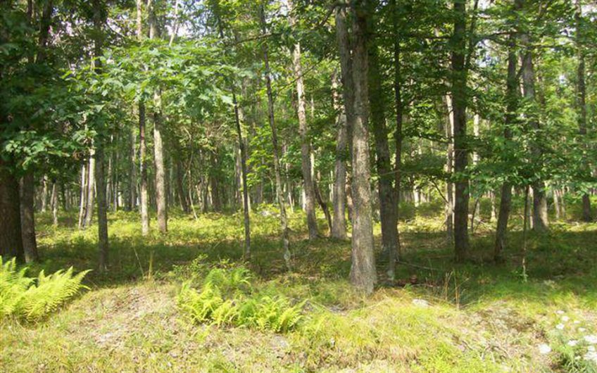 0.54 Acres in Hawley, Pike County Pennsylvania