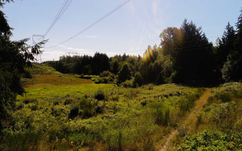 3.69 Acres Pierce County, WA – Way Below Market Value