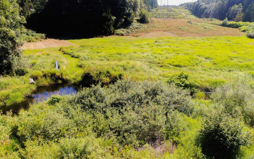 3.69 Acres Pierce County, WA – Way Below Market Value