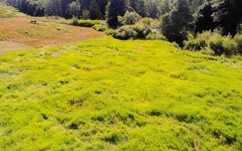 3.69 Acres Pierce County, WA – Way Below Market Value