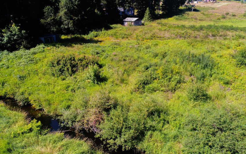 3.69 Acres Pierce County, WA – Way Below Market Value