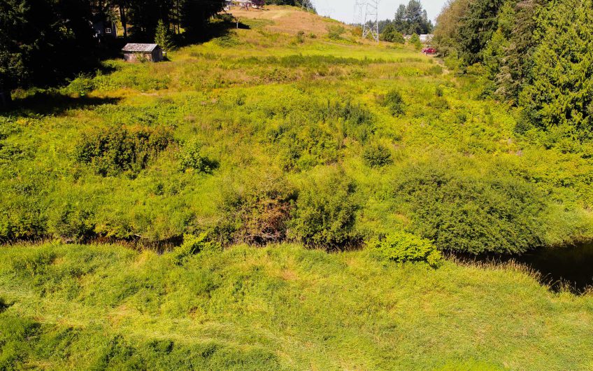 3.69 Acres Pierce County, WA – Way Below Market Value