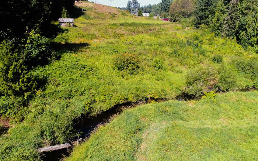 3.69 Acres Pierce County, WA – Way Below Market Value