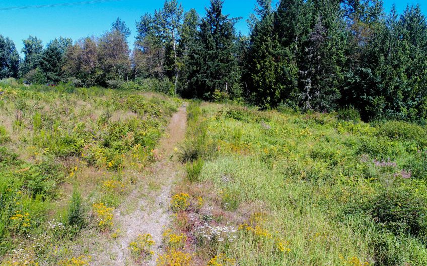 3.69 Acres Pierce County, WA – Way Below Market Value