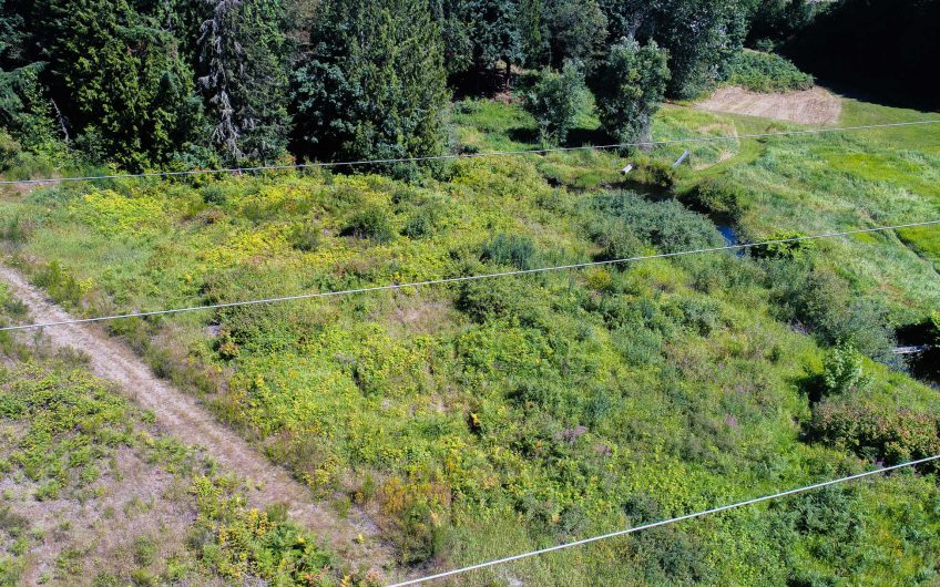 3.69 Acres Pierce County, WA – Way Below Market Value