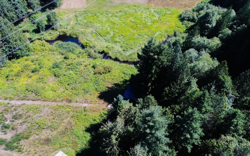 3.69 Acres Pierce County, WA – Way Below Market Value