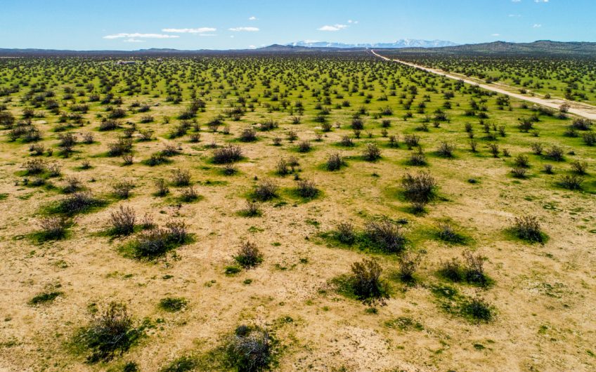 10 Acres of Freedom near Lancaster